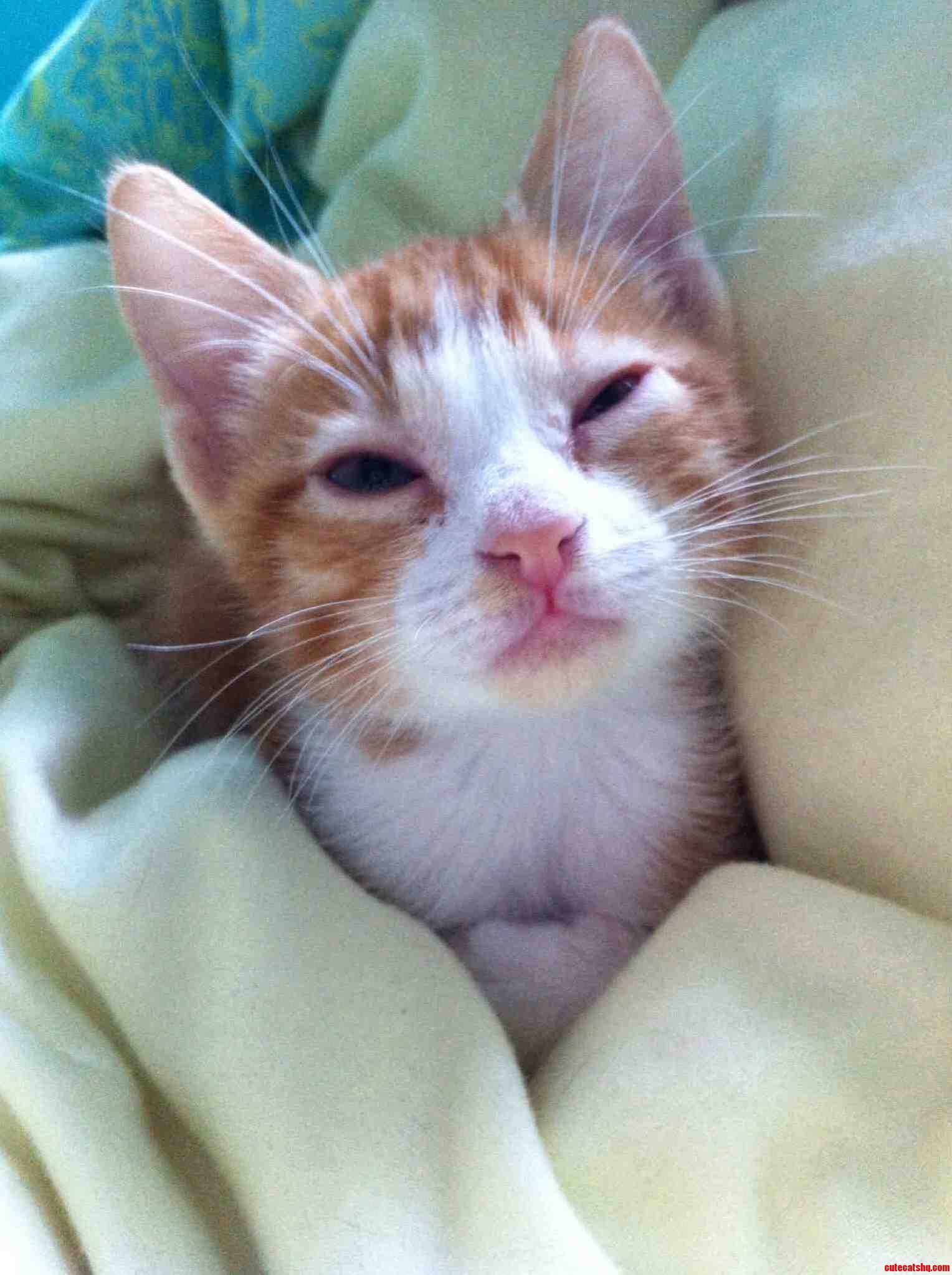 Good Morning Sunshine