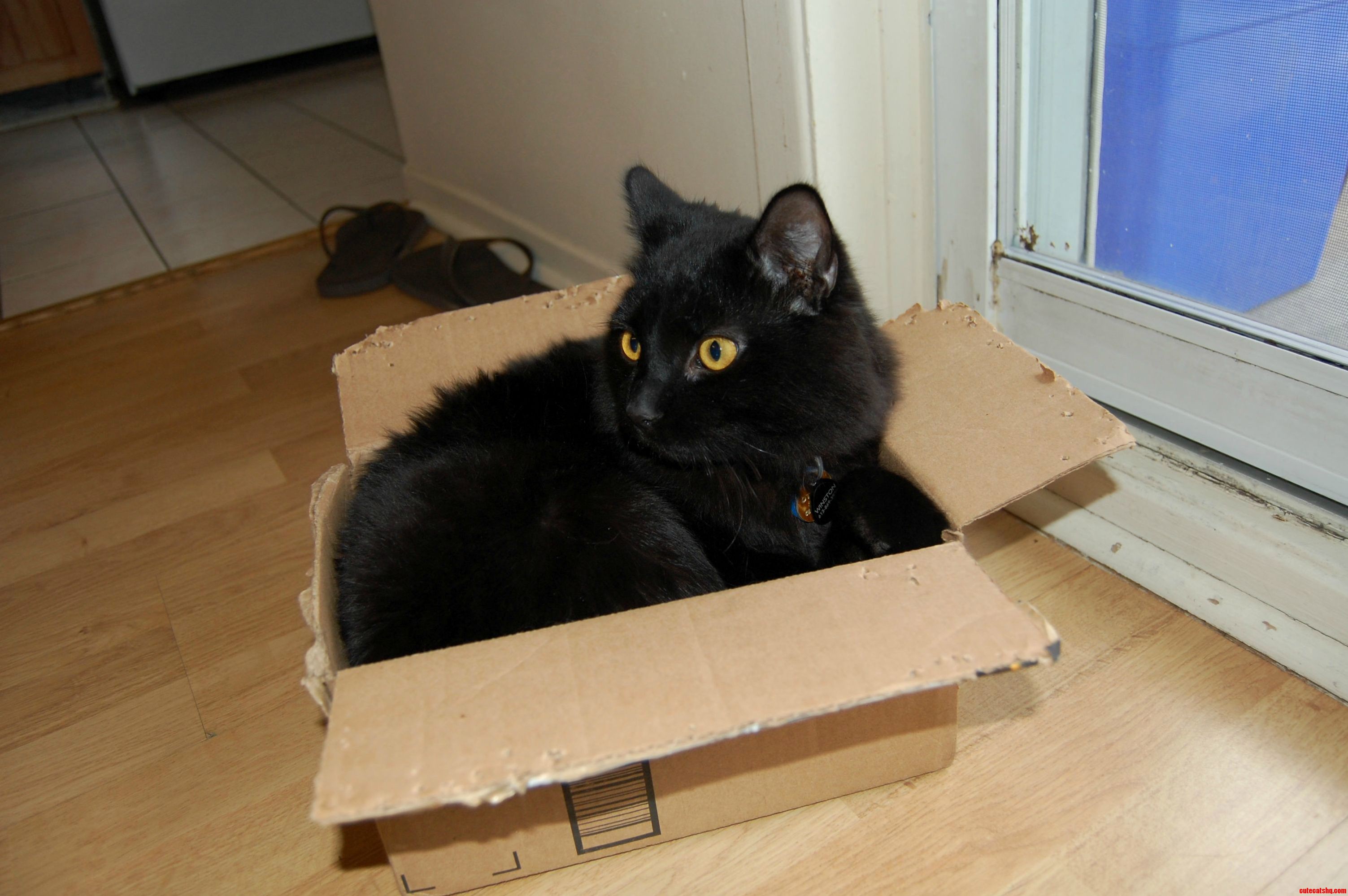 He Lives for Boxes