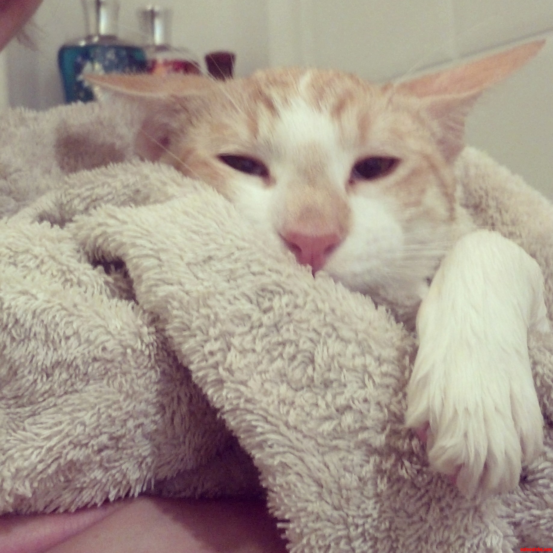 He Really Doesnt Like Showers.