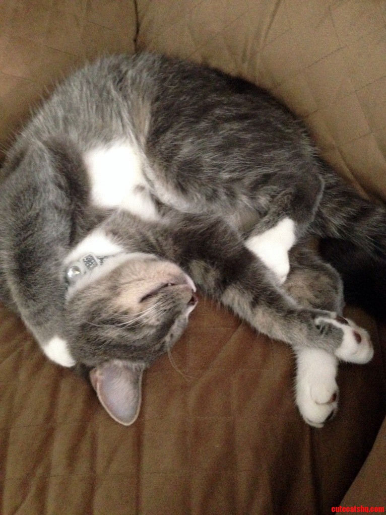 He Sleeps So Weird