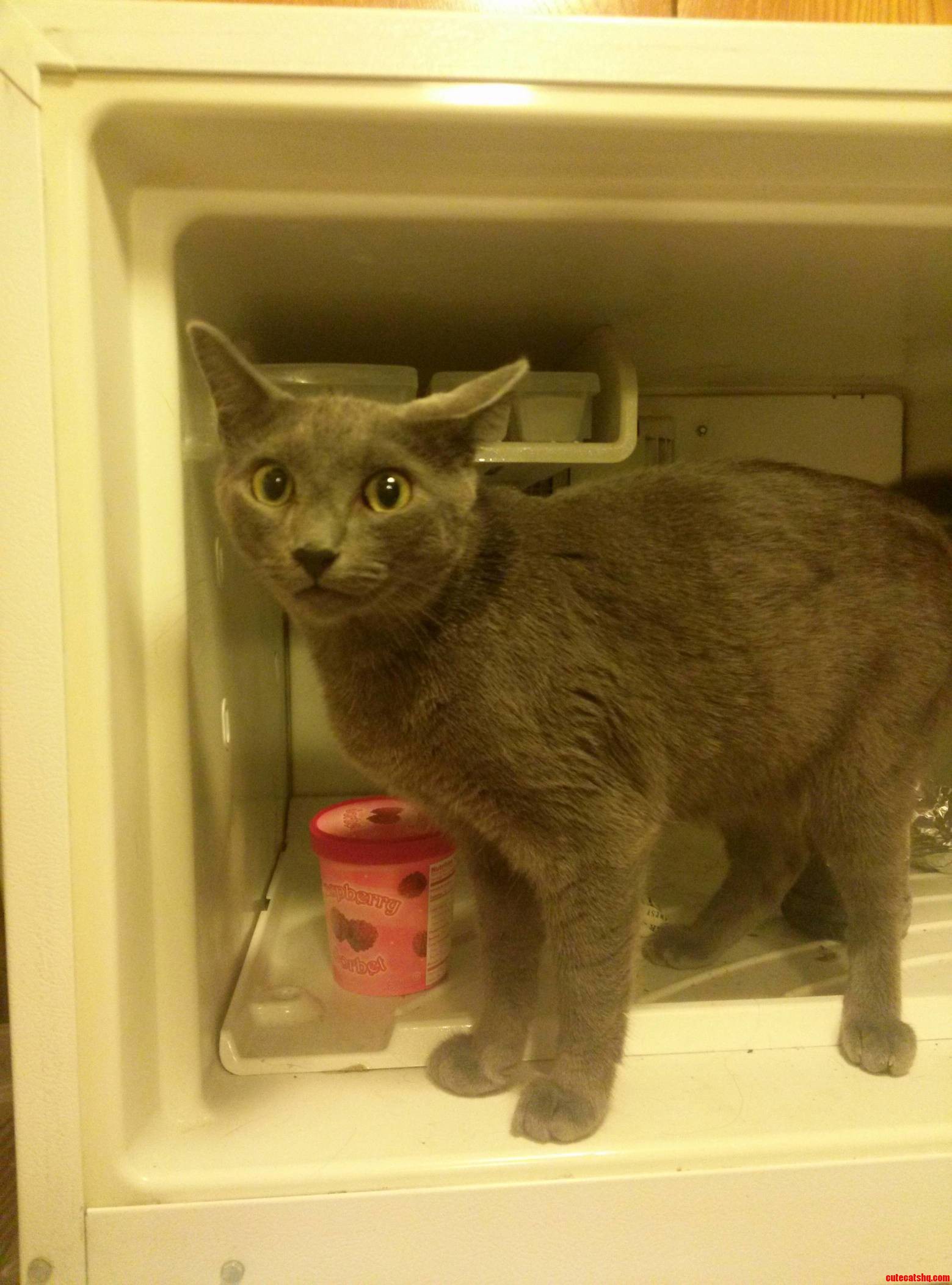 He Will Not Get Out...