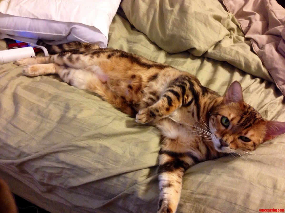 Hello Ladies....