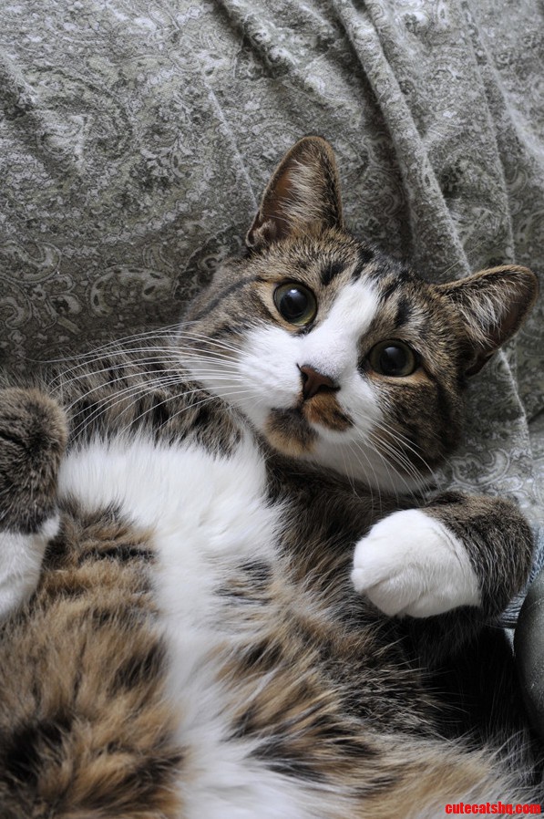 Her Best Jabba Impression.