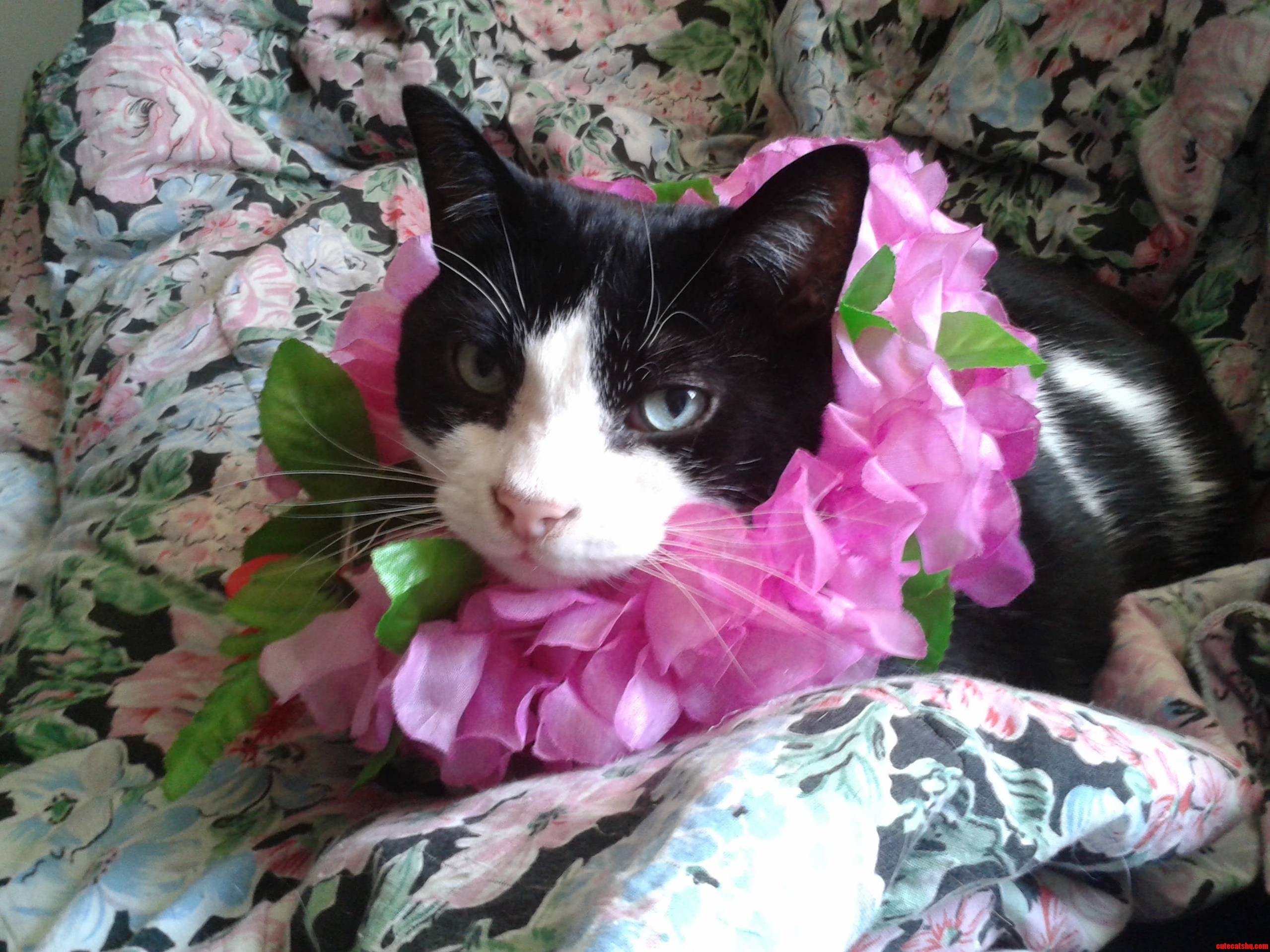 Hes a Big Fan of Flowers