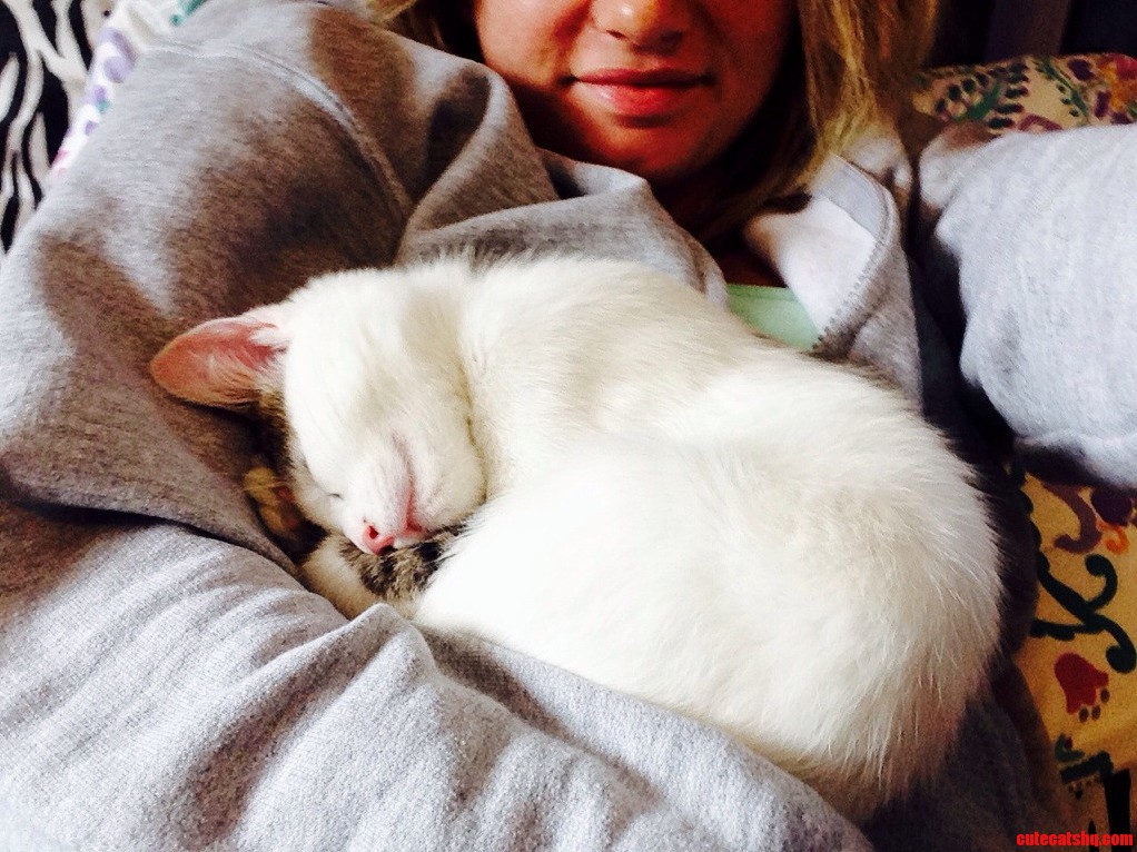 Hes a Cuddler