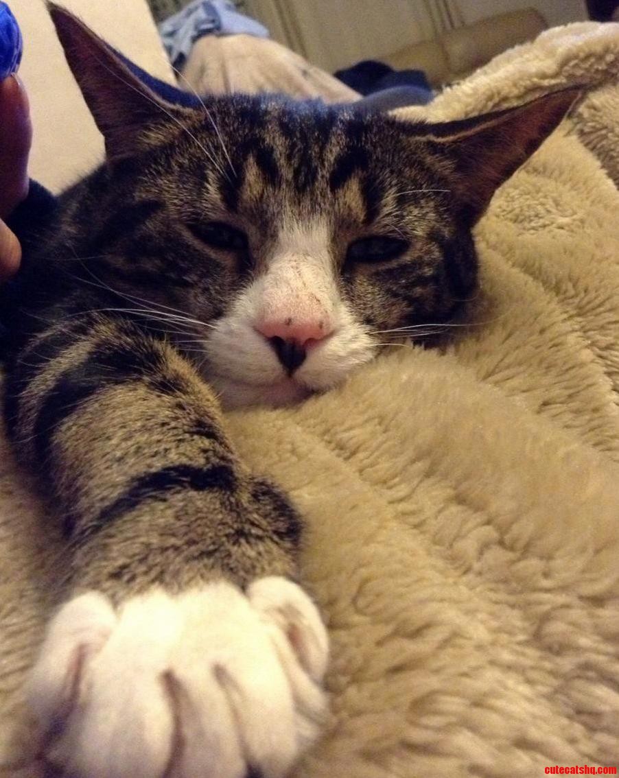 Hes an Old Guy but Hes Still a Cutie 3