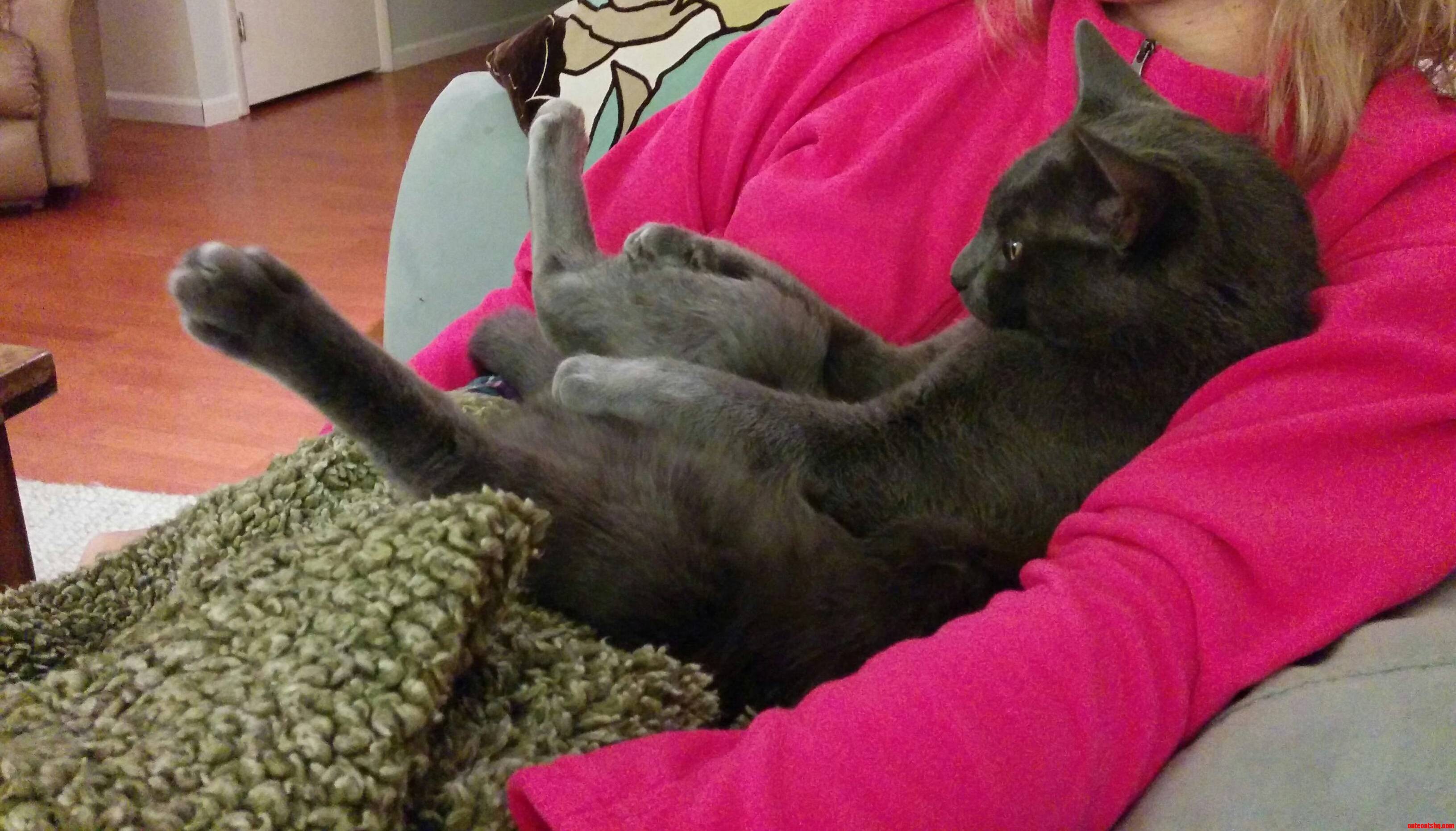 Hes Seriously Watching Tv Like This.