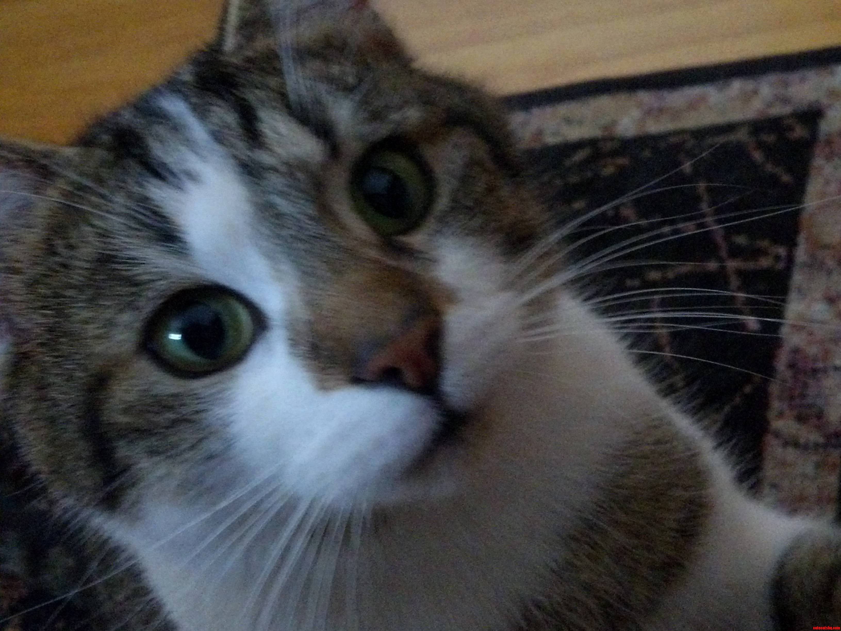 Hey Whats Up