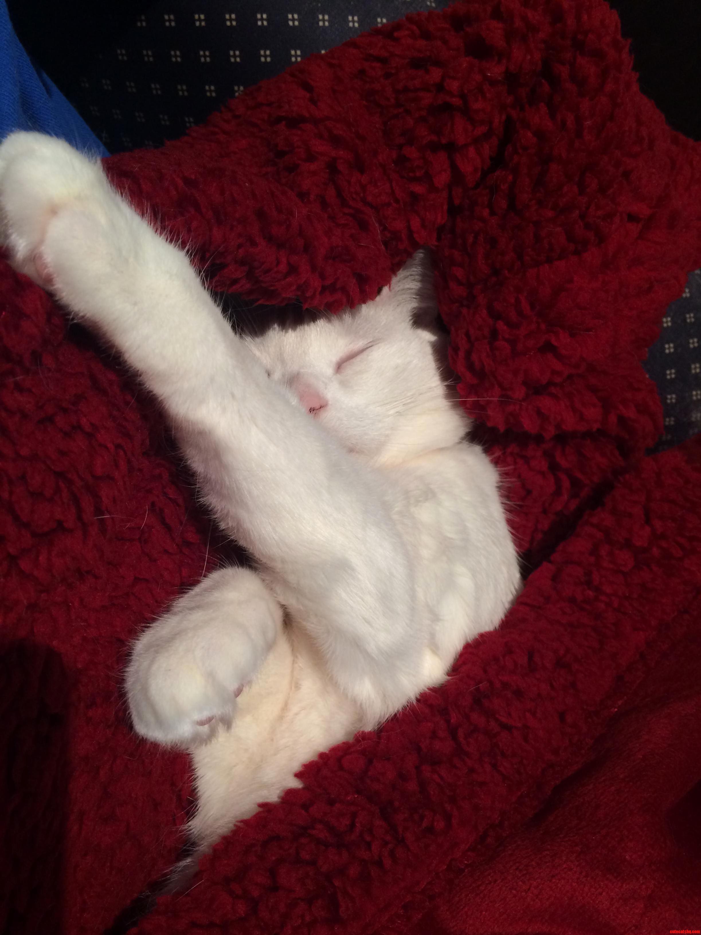 High Five