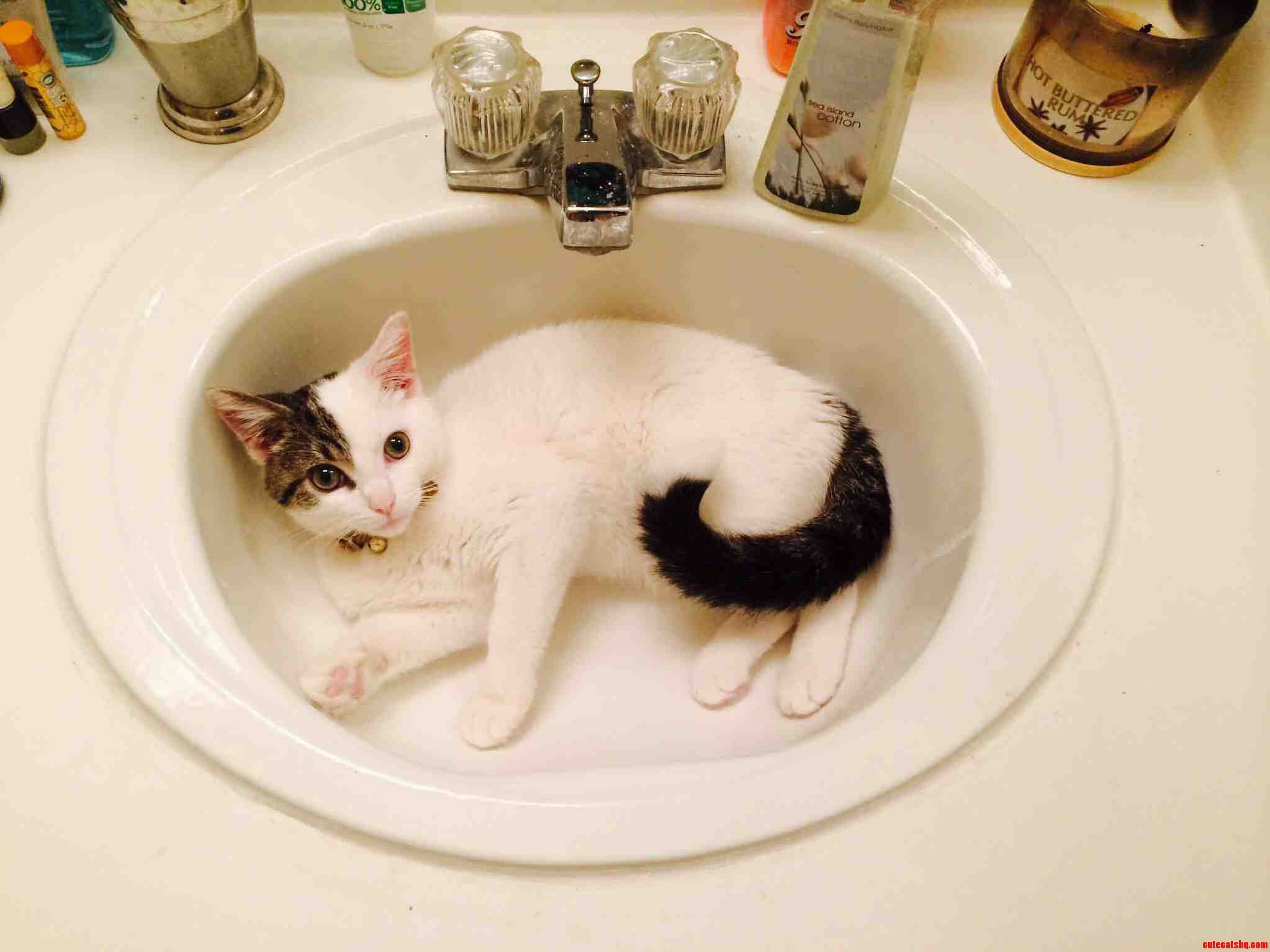 His Favorite Spot to Hang Out..