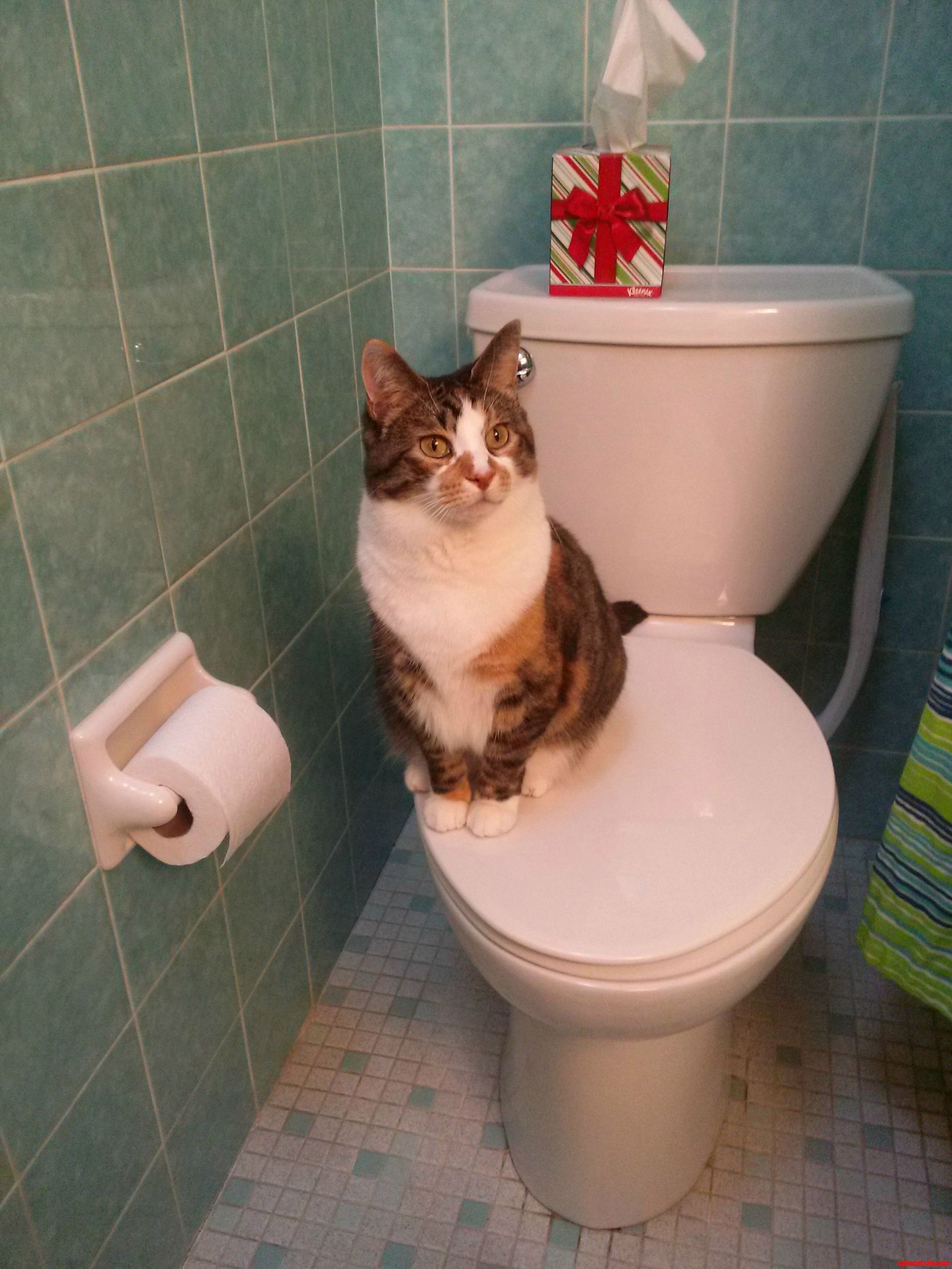 How Does This Thing Work