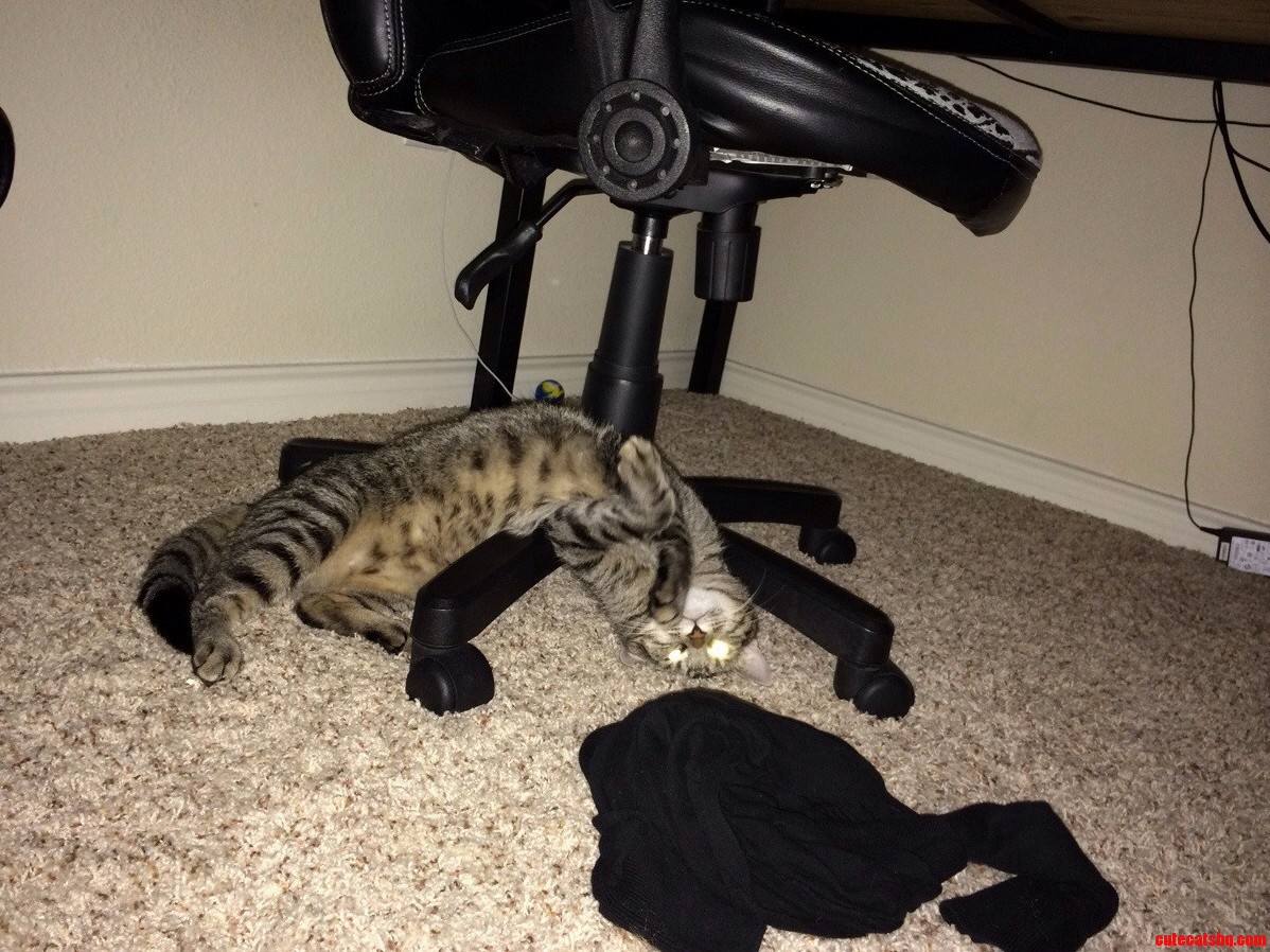 How Is This Comfortable