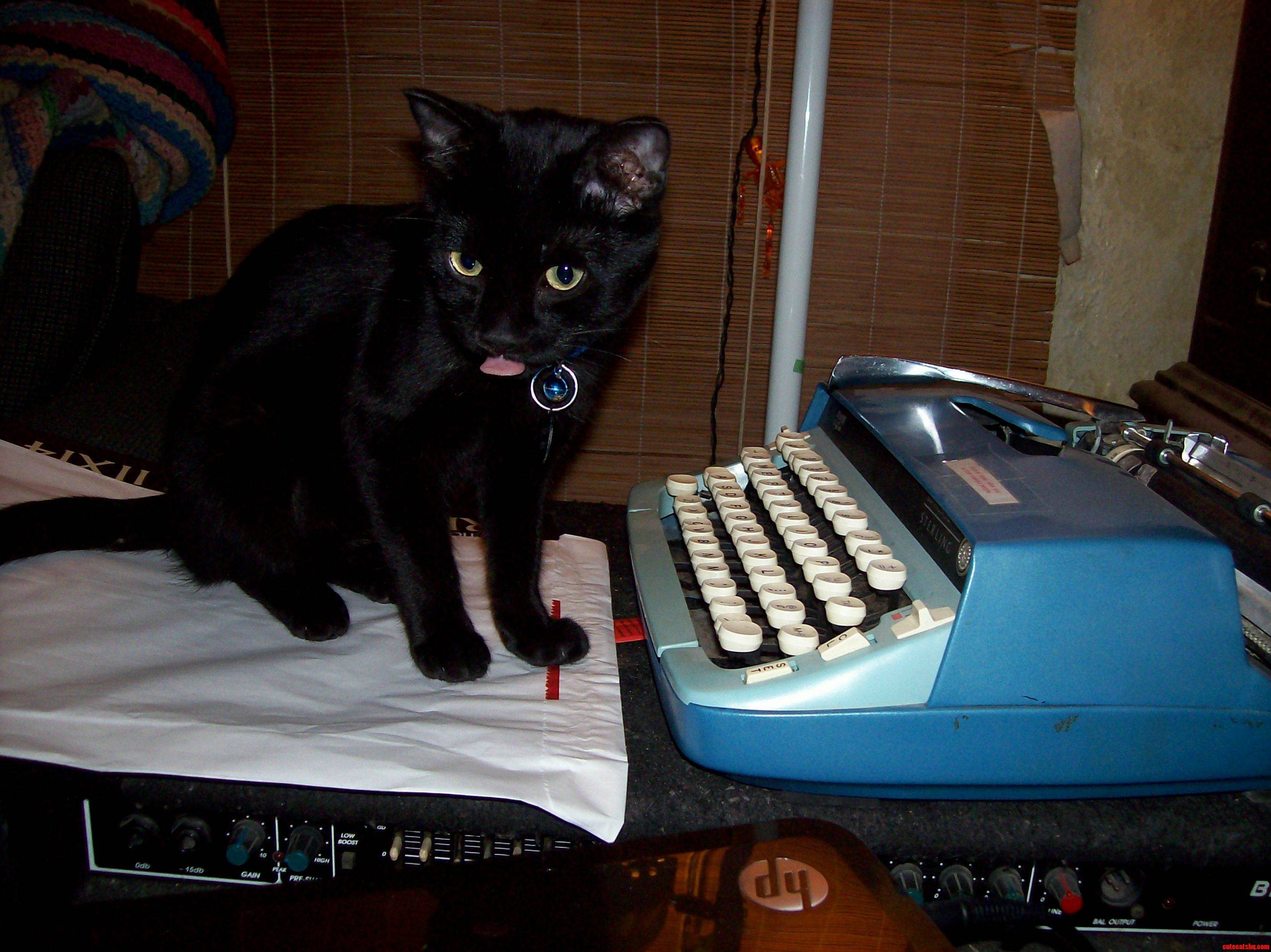 Humbert Battles Writers Block