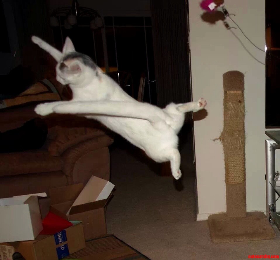 I Belieieve I Can Flyyyyy...