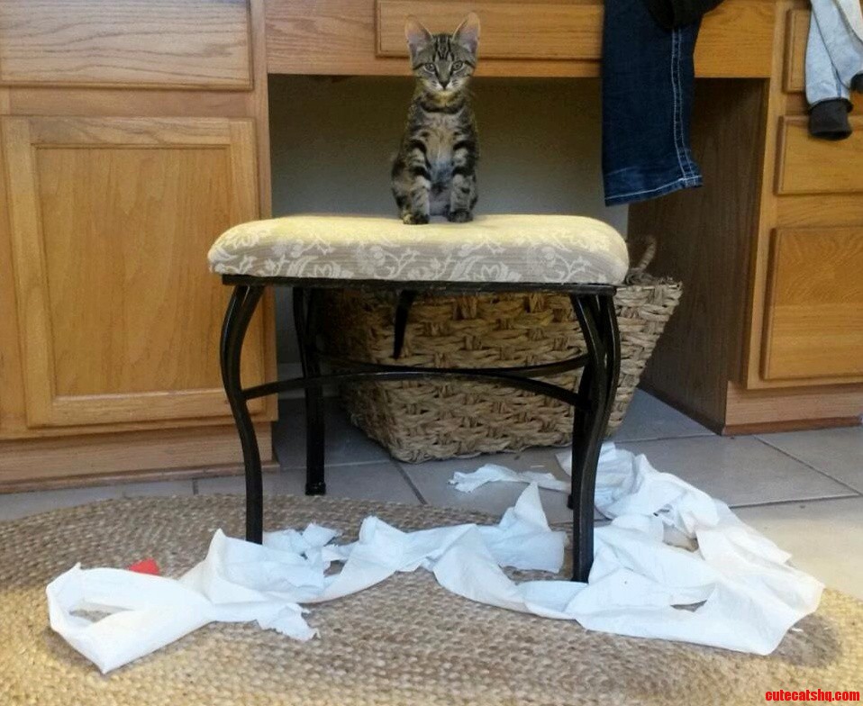 I Have No Clue. I Was Sleeping When All of a Sudden...