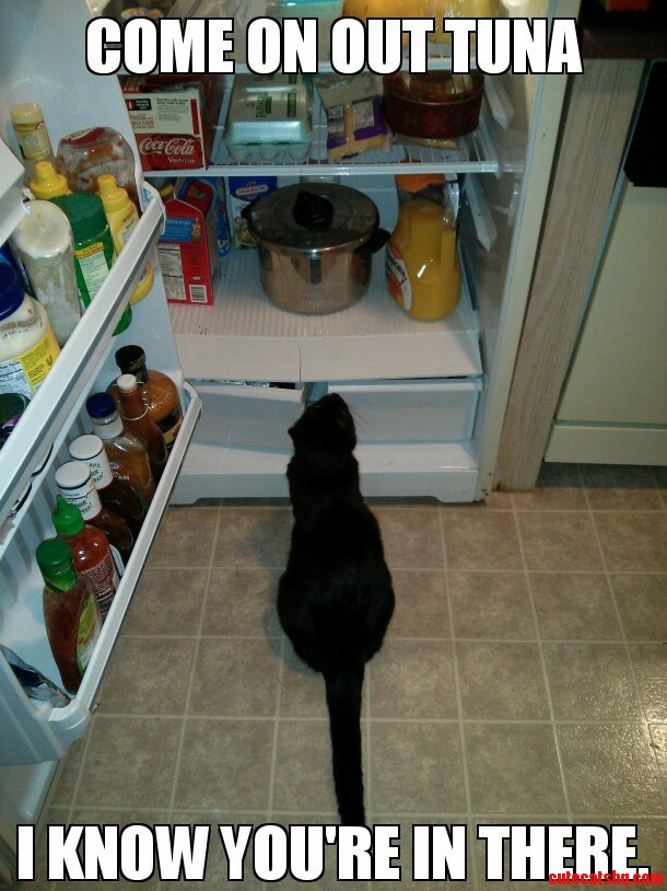 I Know Youre in There