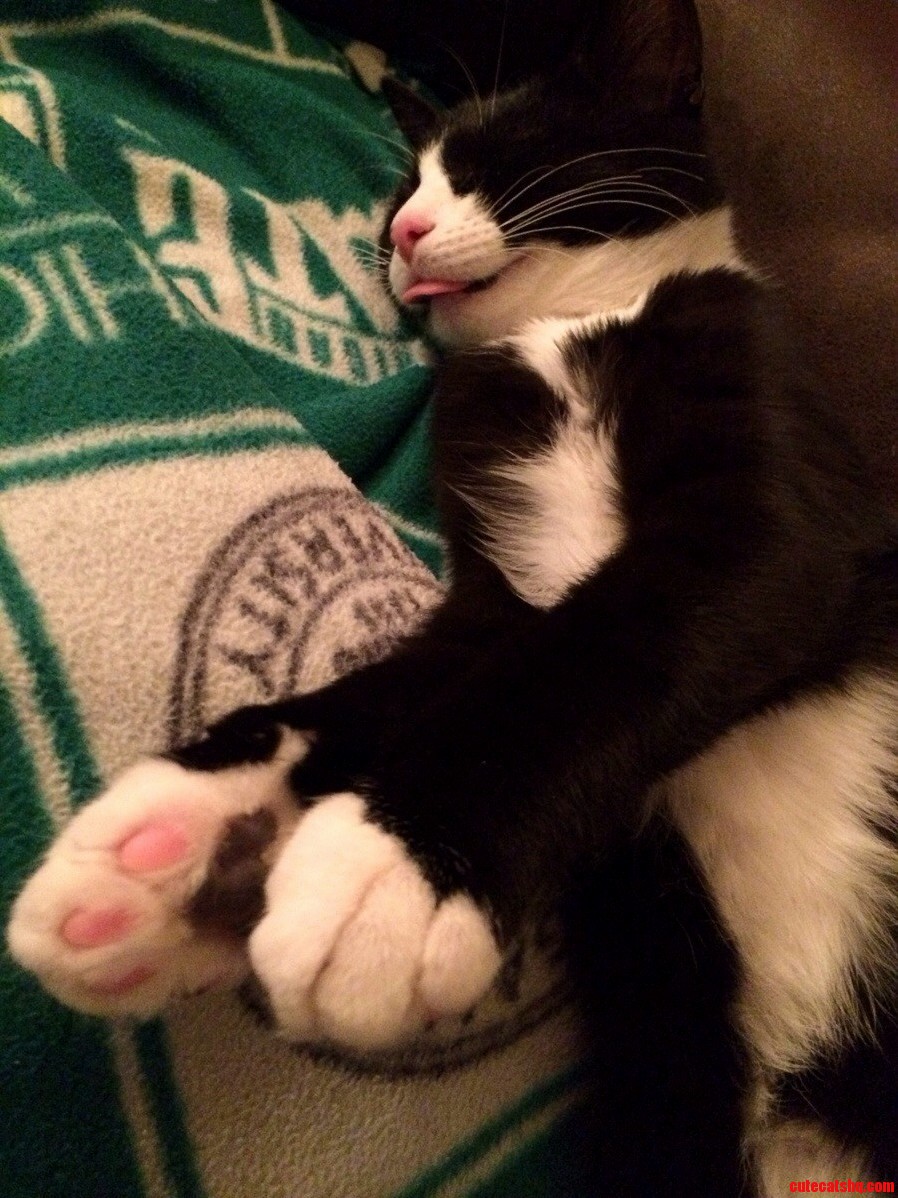 I Like to Sleep with My Tongue Out
