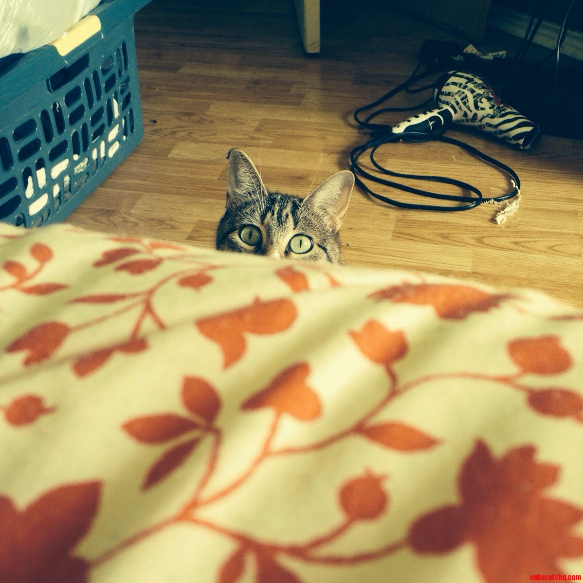 I See You Human.