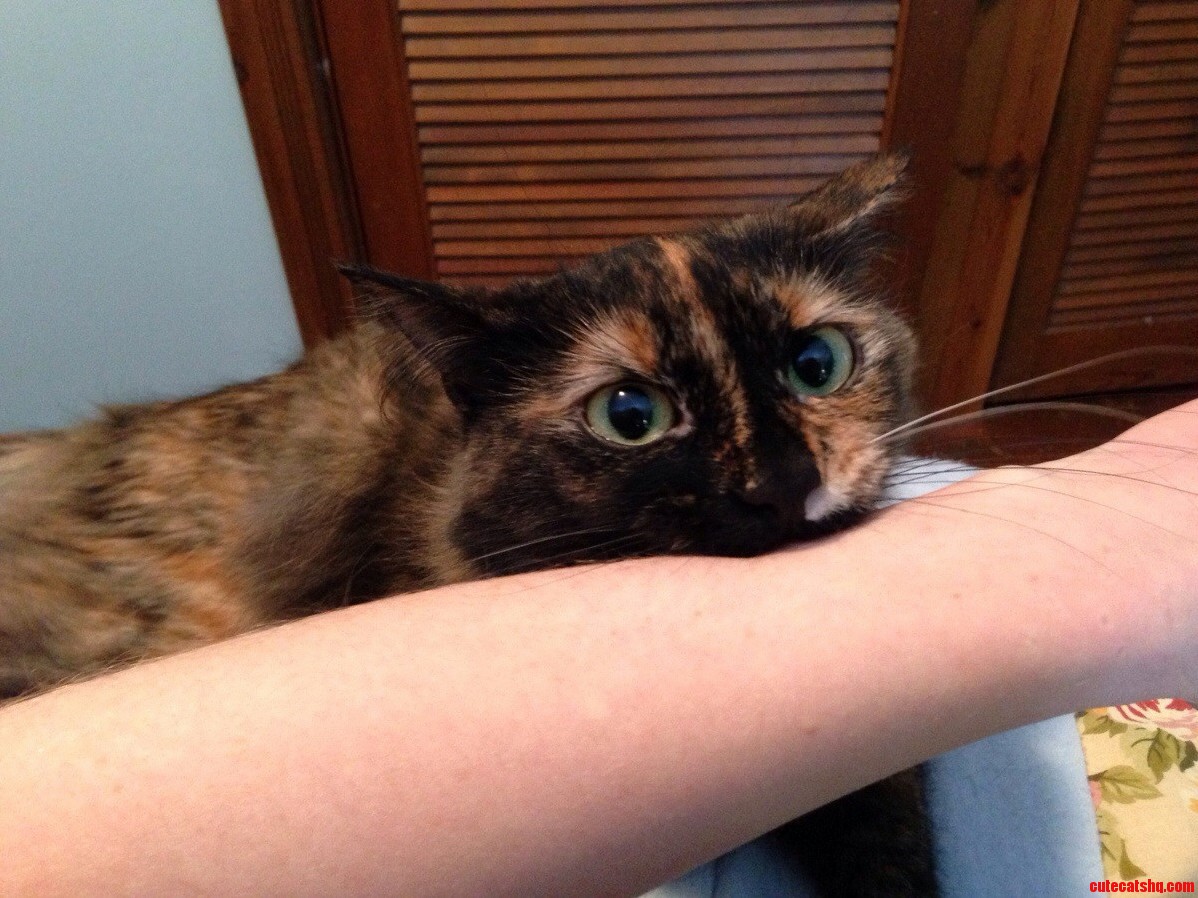 I Shouldnt Let Her Chew on Me but Look at That Face