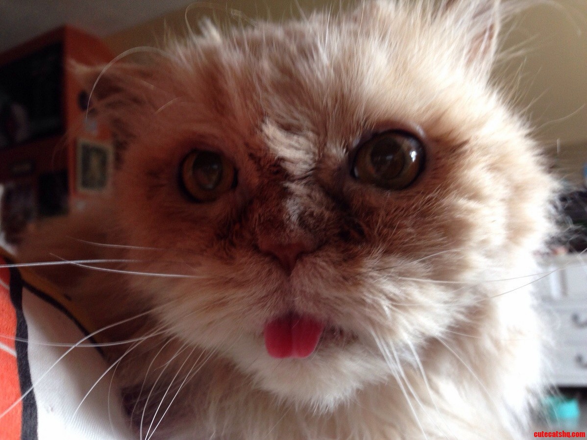 I Wake Up to This Every Morning. Its Delightful.