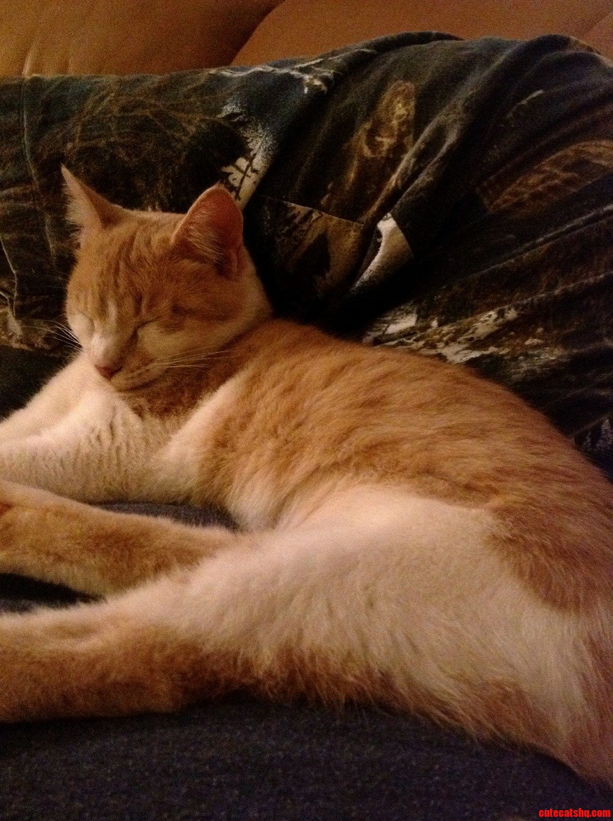 I Want to Get Up to Go to Bed but I Cant.