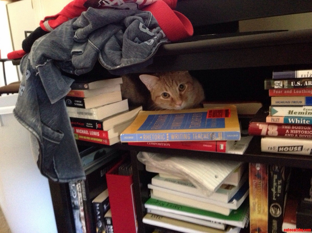 I Was Starting to Think He Had Snuck Out Through the Front Door Because It Took So Long to Find Him...