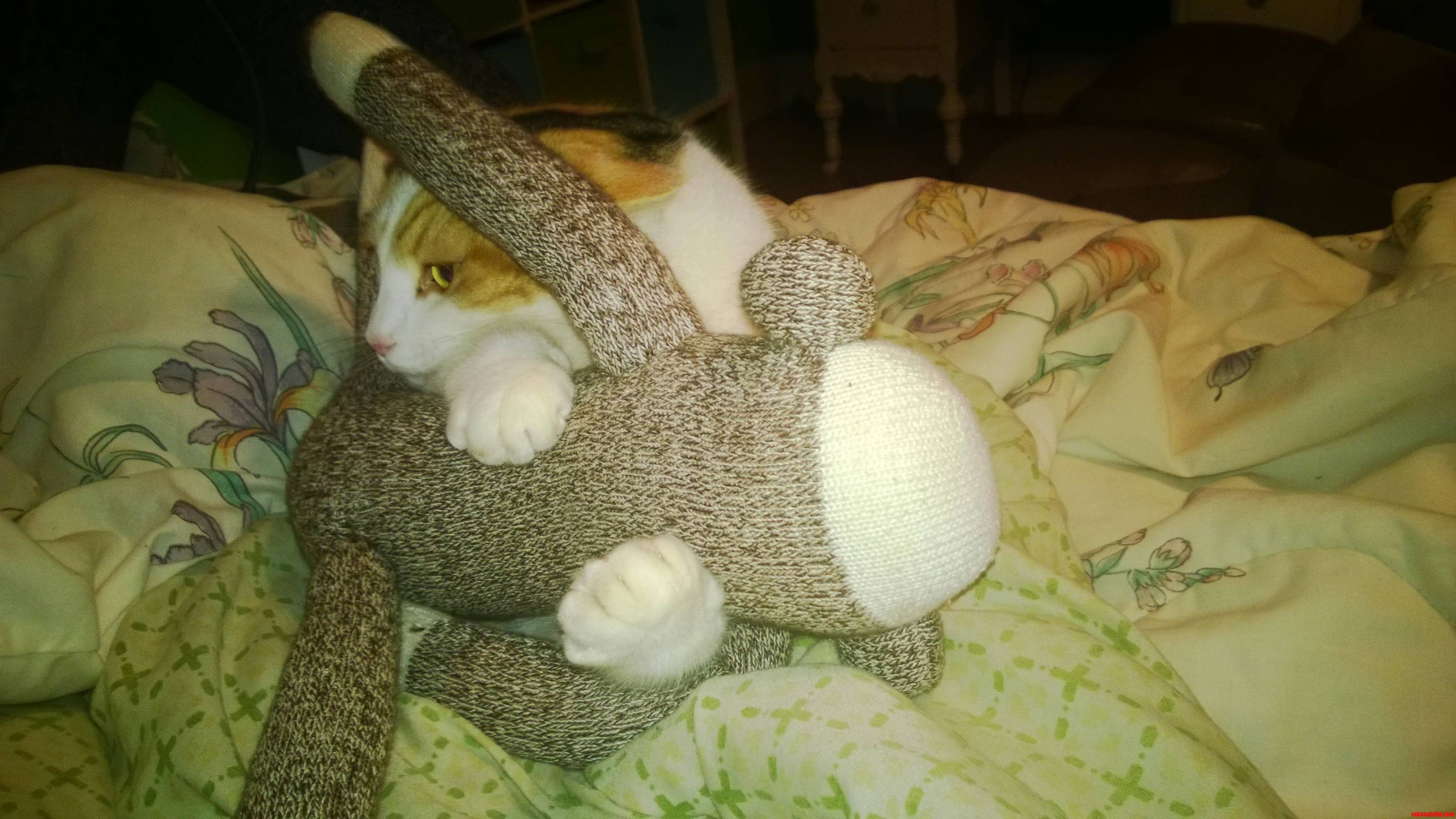 I Wuv You Sock Monkey