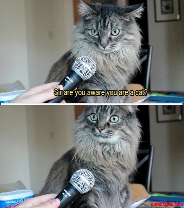 Identity Crisis