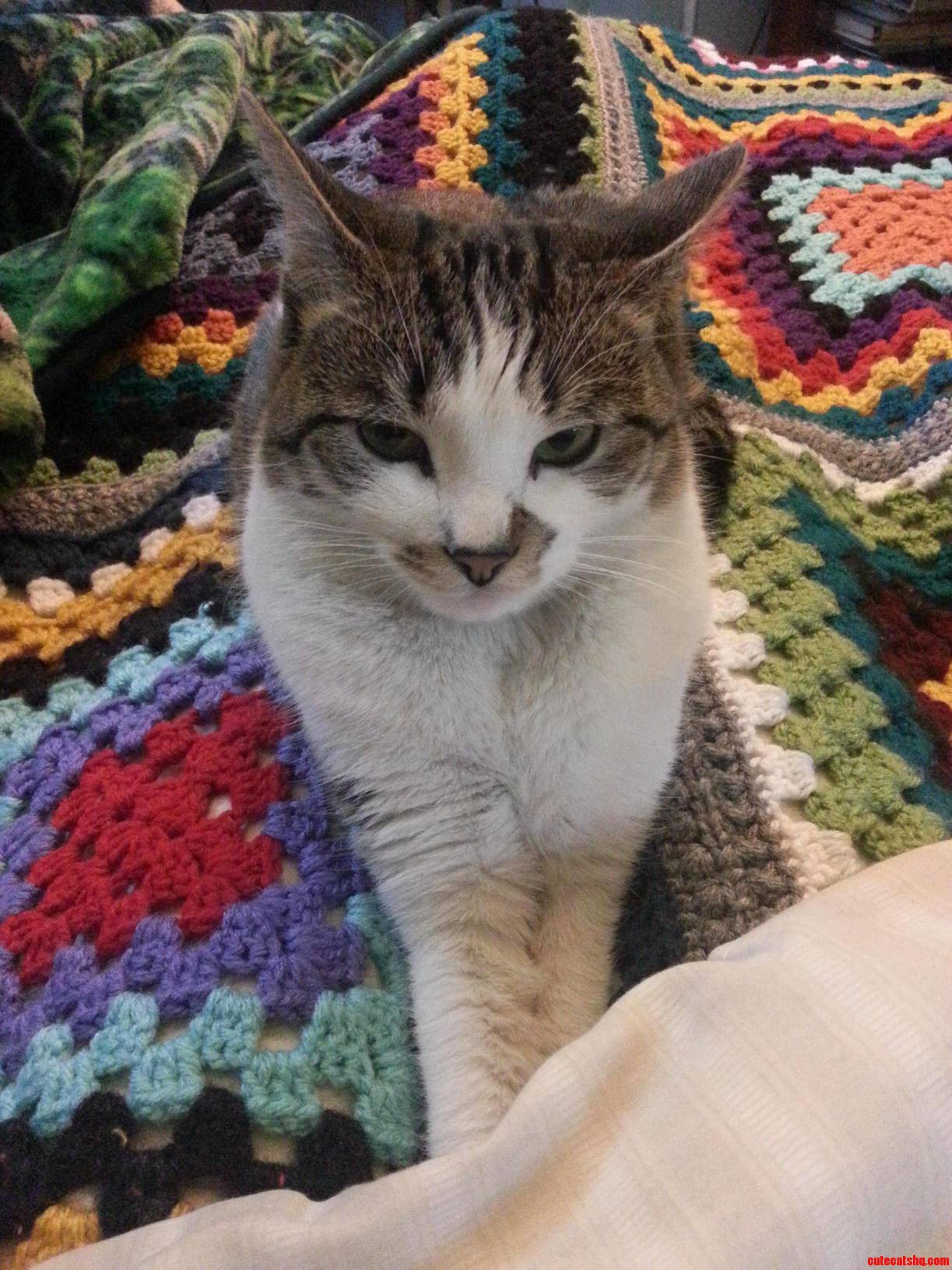 Im Really Sick. This Is Her Face Every Time I Aggressively Blow My Nose.
