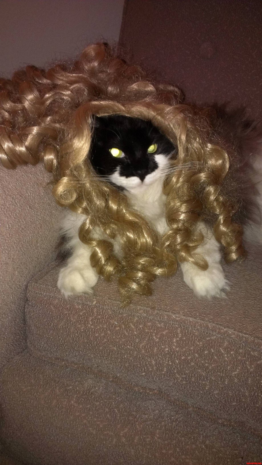 Im So Beautiful