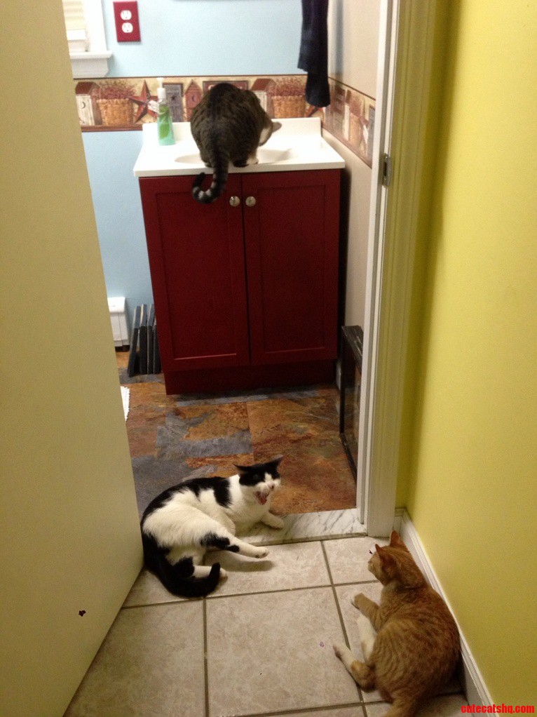 In Line for Water