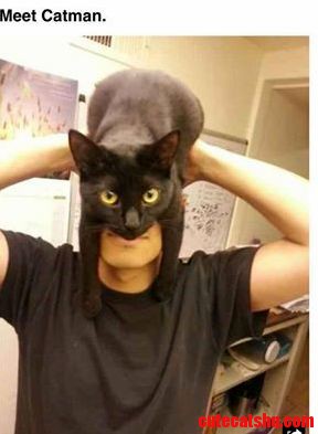 Just to Be Clear.. He My Friend Really Likes Black Cats and Batman.