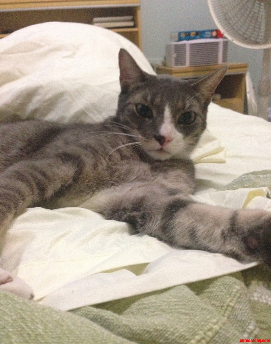 Kinda Looks Like Hes Taking a Selfie