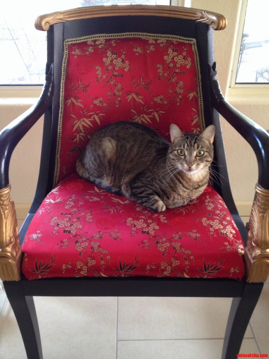 King of the House on His Throne