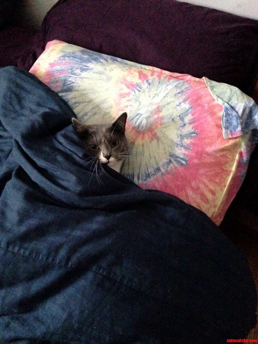 Like Hell Im Gonna Move