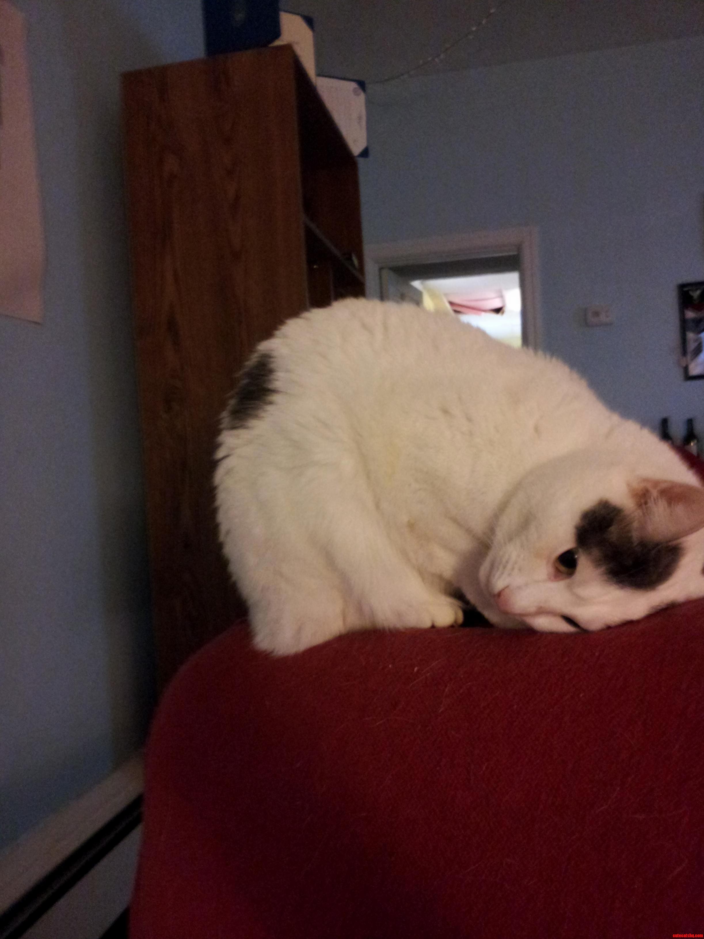 Listening to the Couch