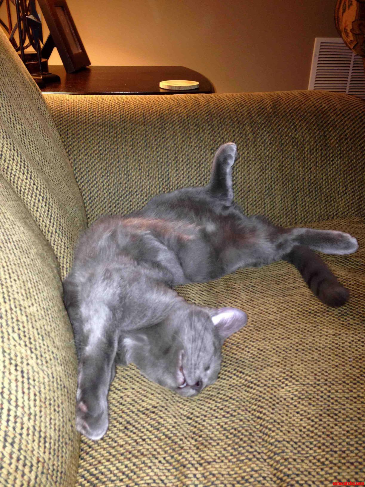 Little Blue Is Sleepy.