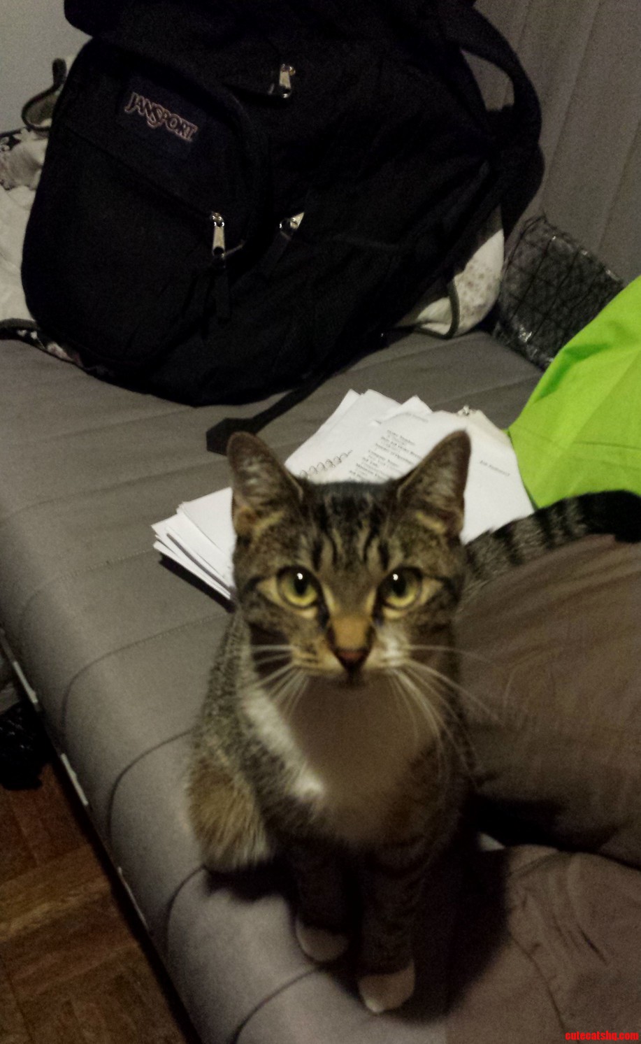 Lola Wait for Snacks...