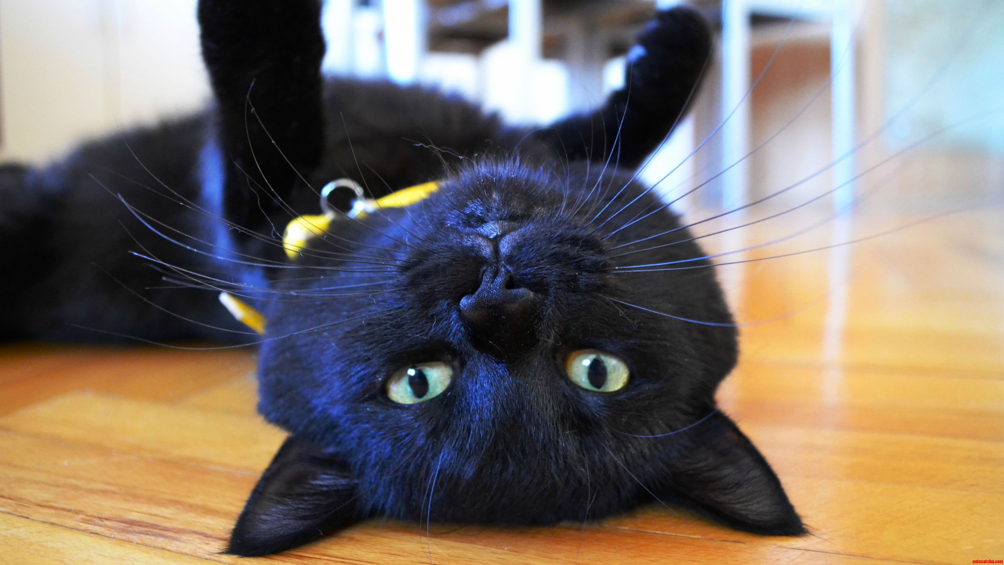 Lounging on the Floor