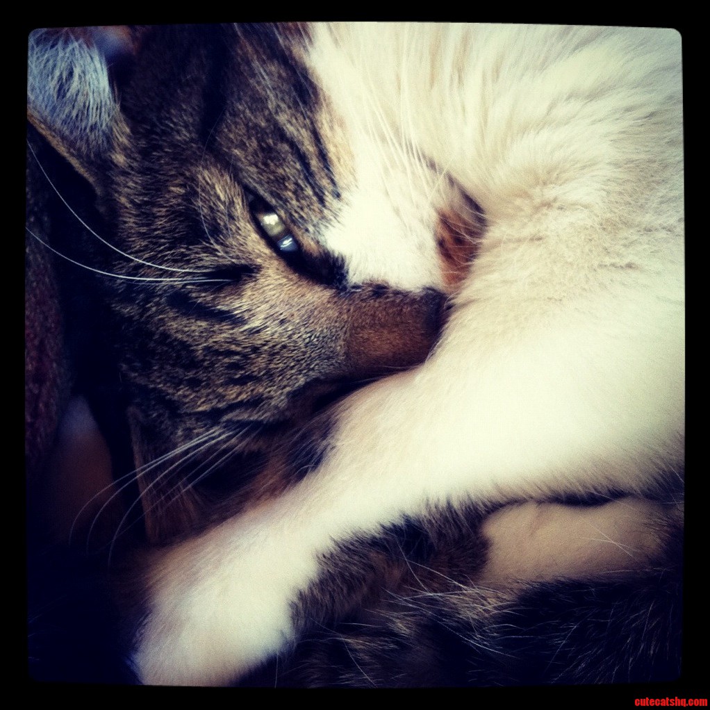 Meet Jethro