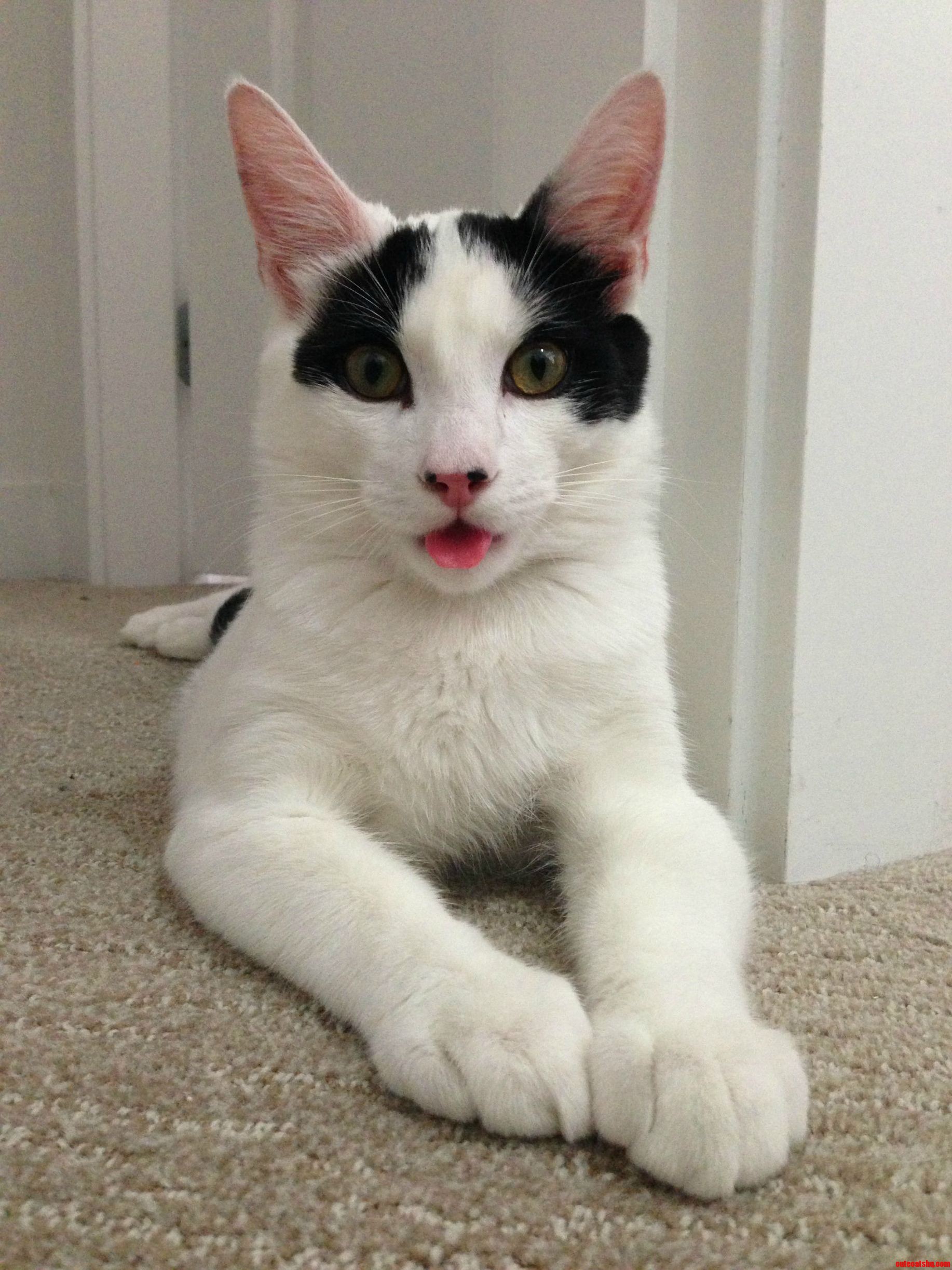 Meet Oliver