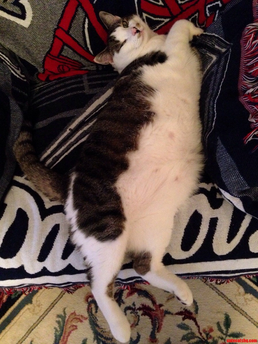 Meet Sir Charles aka Charlie