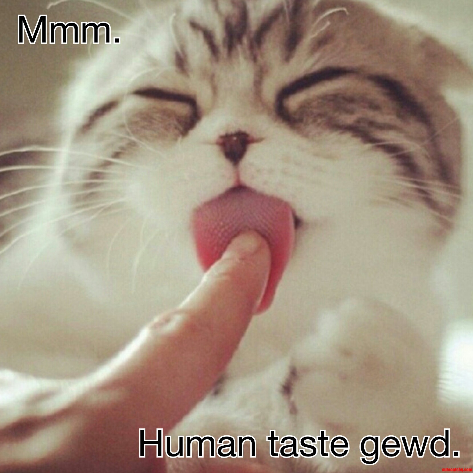 Mmm.