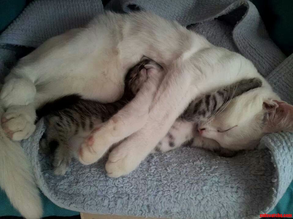 Mother and Son