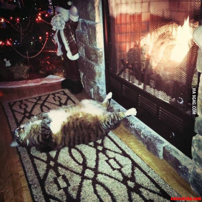 Must Have Had Cold Feet.