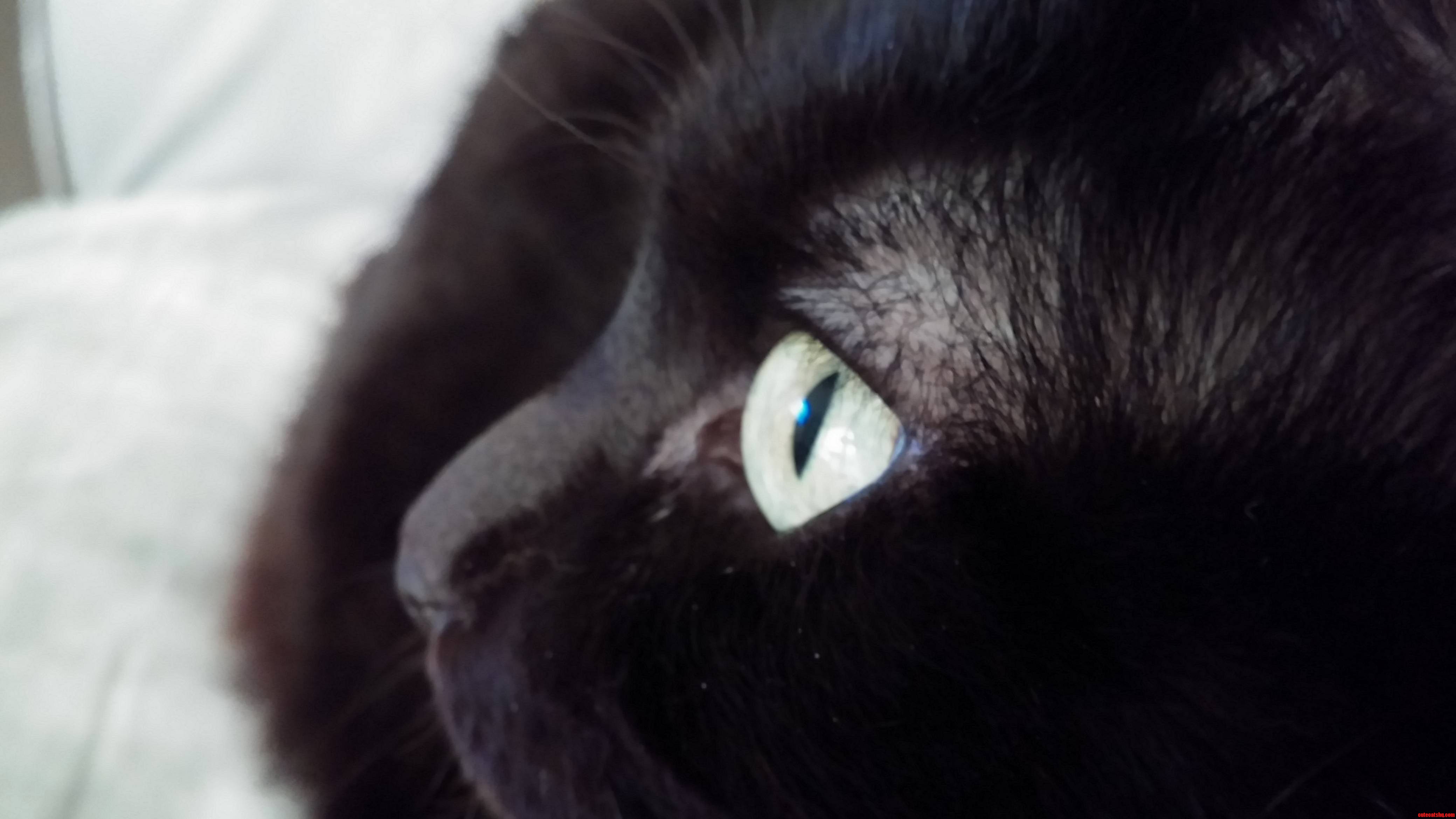 My Beautiful Girls Pretty Eyes