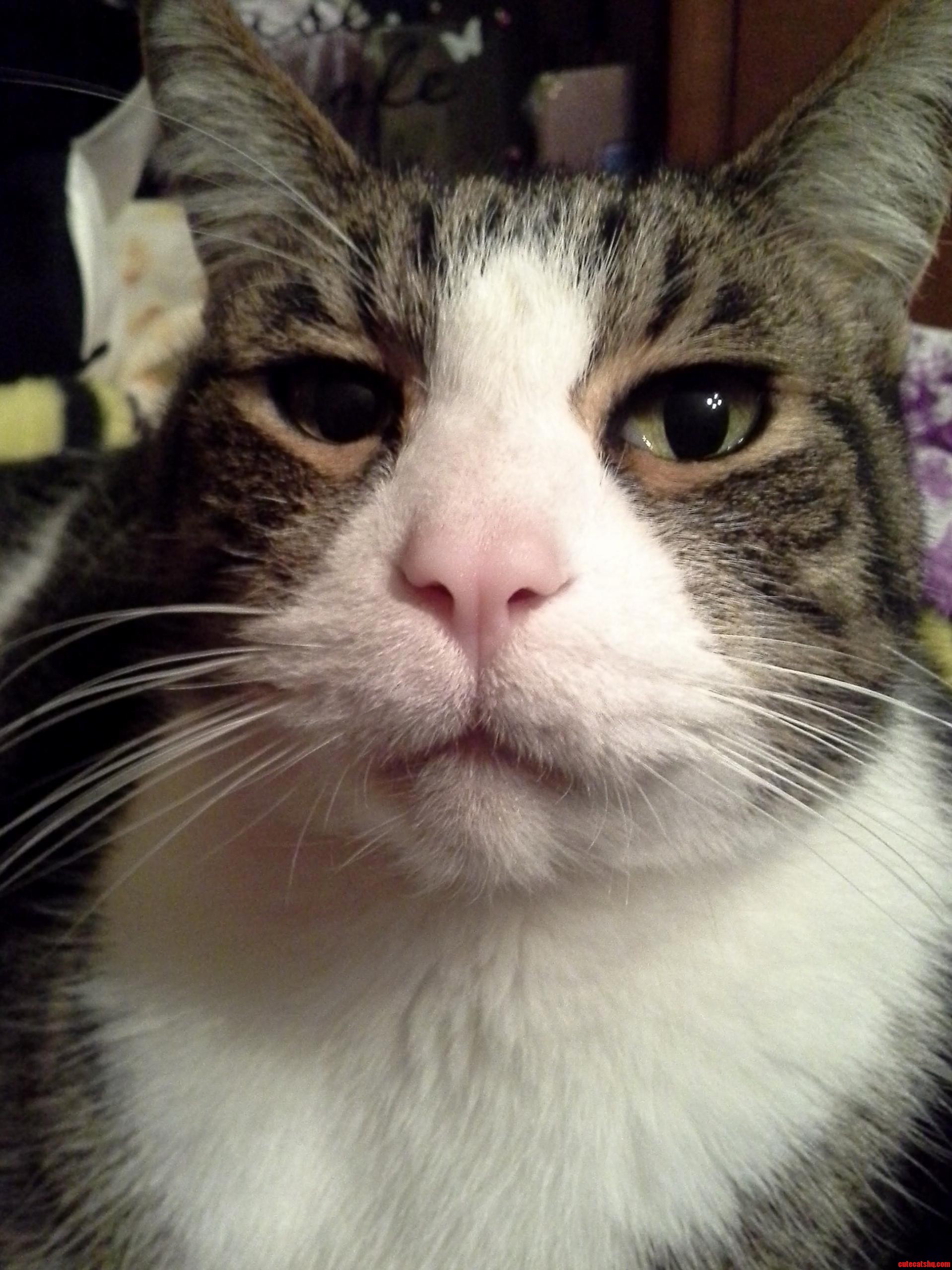 My Big Boy Tommy 3