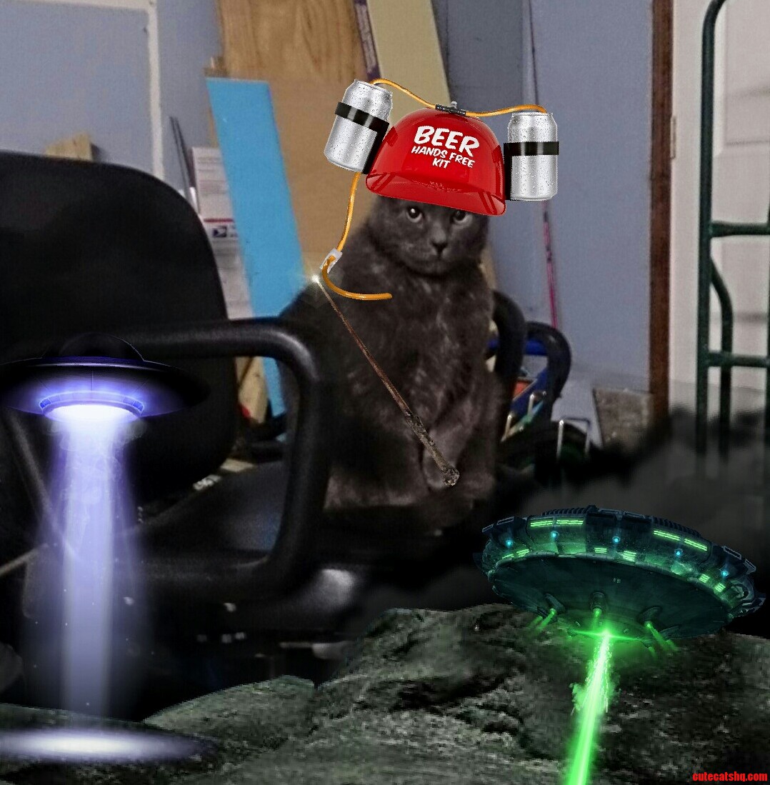 My Cat Bubba