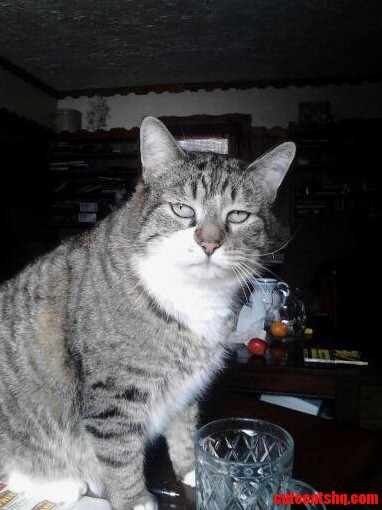 My Man Spiffy Was Particularly Underwhelmed That Day.