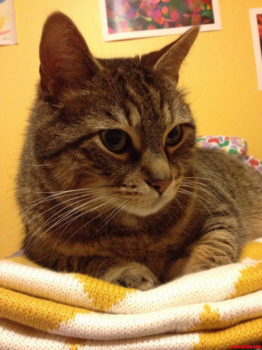 My Old Man Aiden.